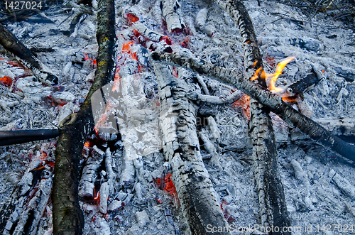 Image of Burning branches, embers and flame.