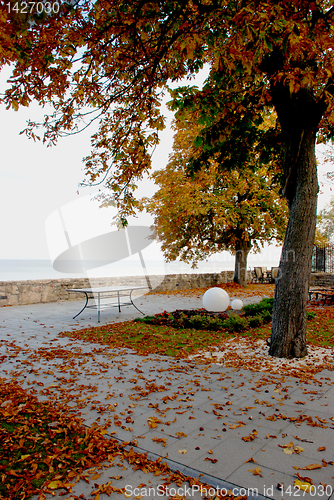 Image of Late autumn Villa yard 