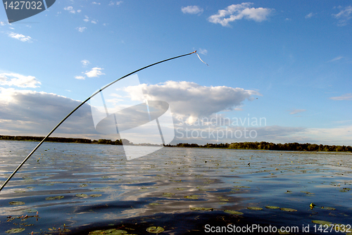 Image of Summer lake 