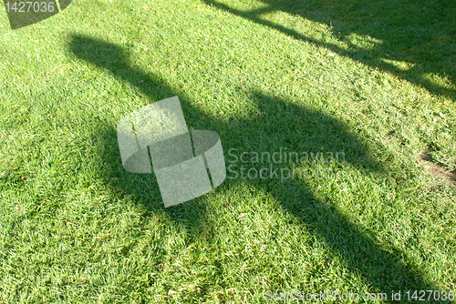 Image of Shadow on the grass 