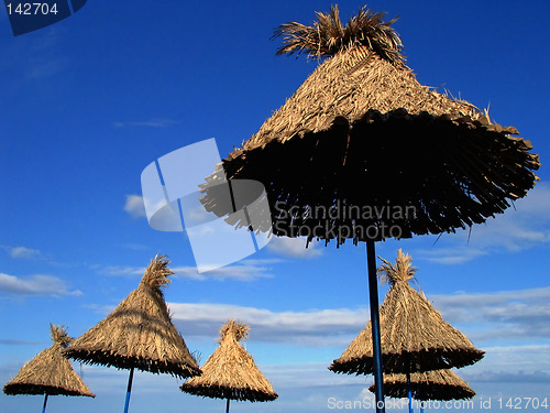 Image of Beach umbrella