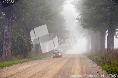 Image of Machine in fog submerged gravel tree avenue.