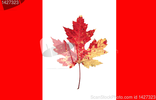 Image of canada flag