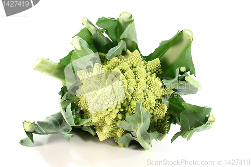 Image of fresh Romanesco broccoli