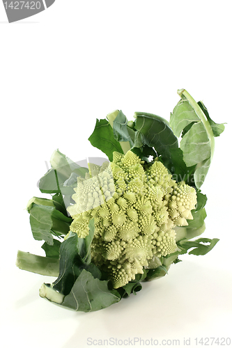 Image of Romanesco broccoli