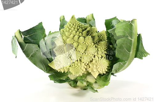 Image of fresh bright Romanesco broccoli