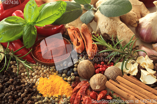 Image of Spices and herbs