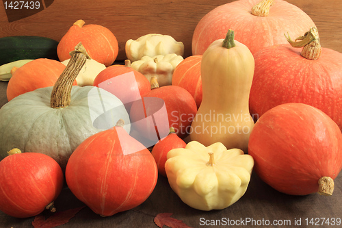 Image of Pumpkins and squashes