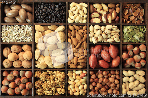 Image of Nut varieties