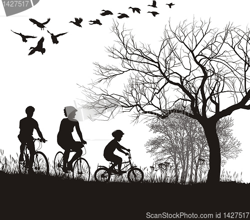 Image of Family cycling in the countryside