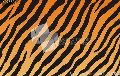 Image of tiger texture