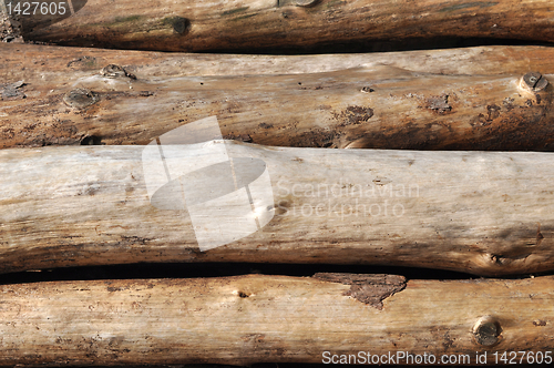 Image of Pile of log