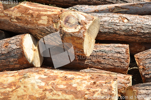 Image of Pile of log