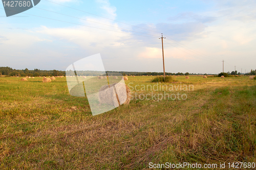 Image of hay bales in a field