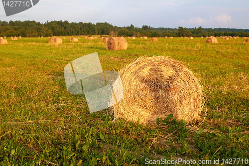 Image of Hay Bales with girl shadow