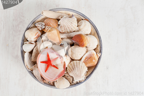 Image of Sea shells