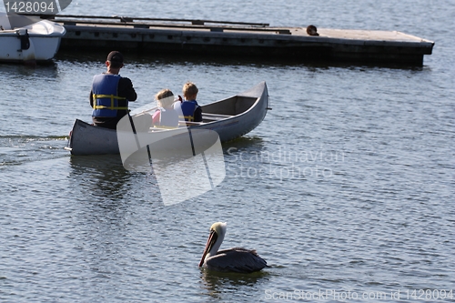 Image of Pelican and a canoe