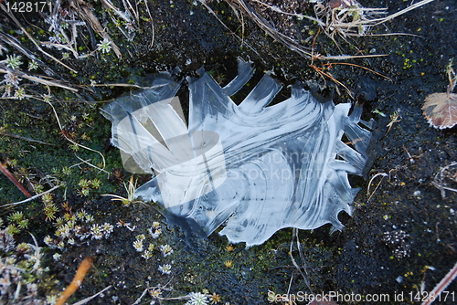 Image of Frozen water