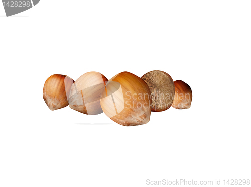 Image of Nutshells