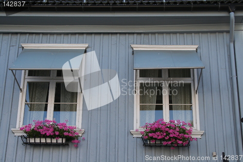 Image of Window in Drøbak