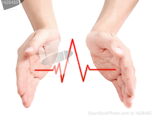 Image of Heartbeat
