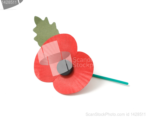 Image of Poppy appeal