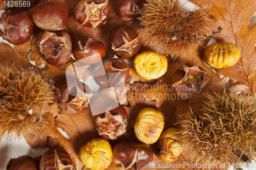 Image of Chestnuts
