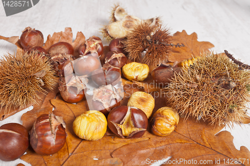 Image of Chestnuts