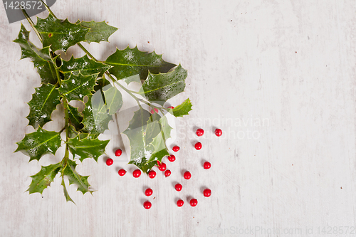 Image of holly and red berries