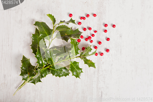 Image of holly and red berries