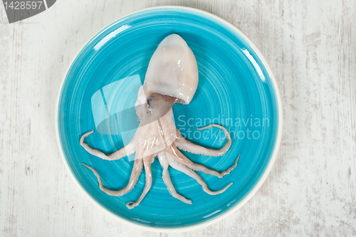 Image of Octopus