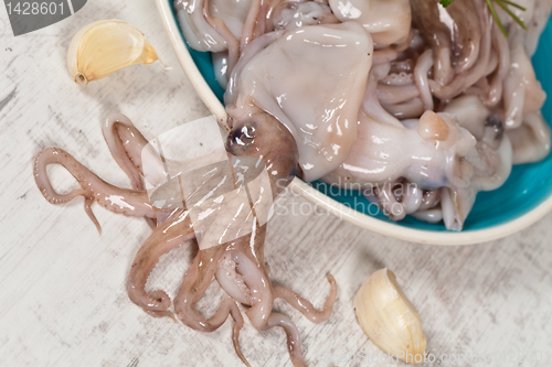 Image of Octopus