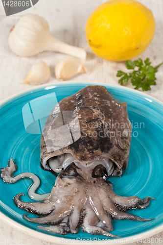 Image of Raw Cuttlefish