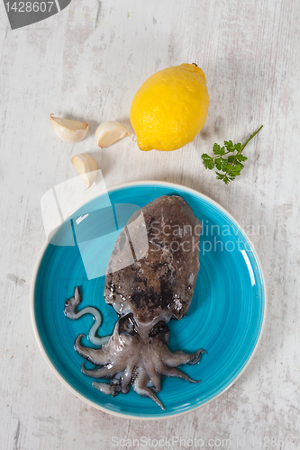 Image of Raw Cuttlefish