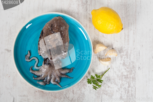 Image of Raw Cuttlefish