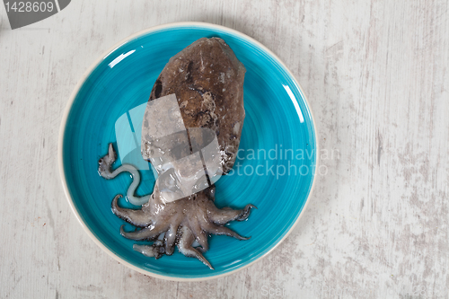 Image of Raw Cuttlefish