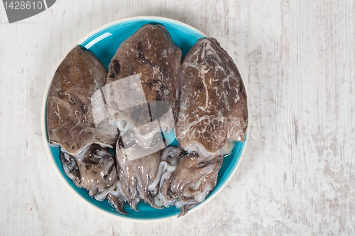 Image of Raw Cuttlefish