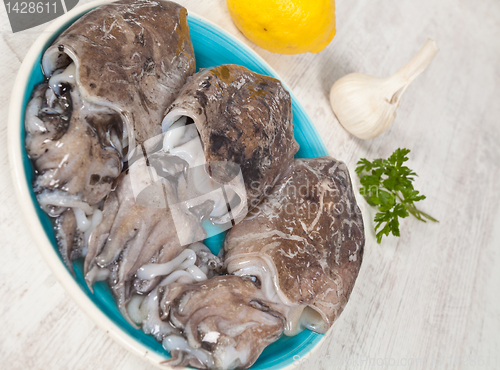 Image of Raw Cuttlefish