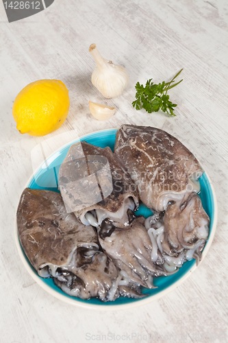 Image of Raw Cuttlefish