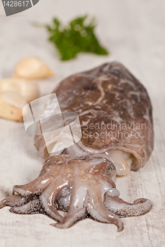 Image of Raw Cuttlefish