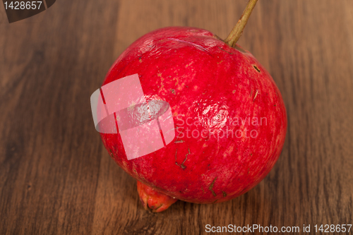 Image of Pomegranate