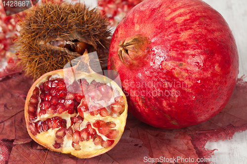 Image of Pomegranate