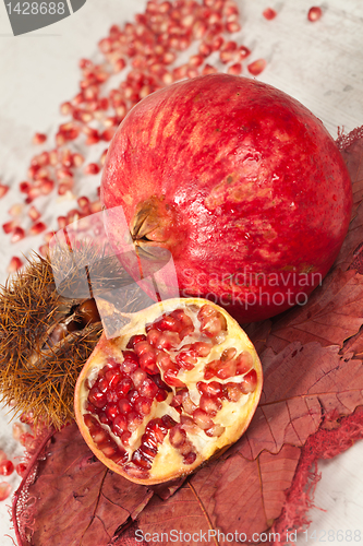 Image of Pomegranate