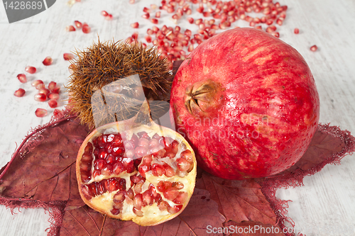 Image of Pomegranate