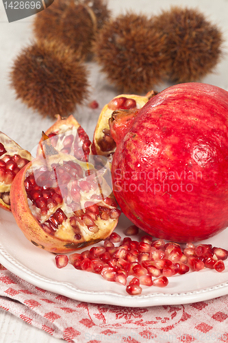 Image of Pomegranate