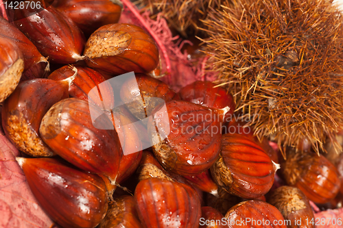 Image of Chestnuts