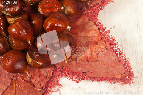 Image of Chestnuts