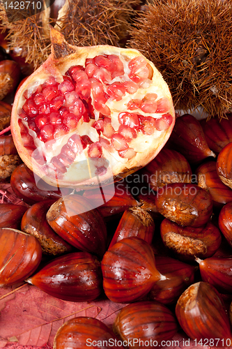 Image of Chestnuts and pomegranate