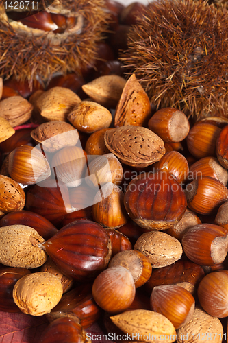 Image of Nuts background