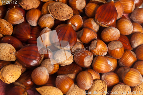 Image of Nuts background